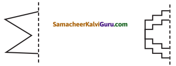 Samacheer Kalvi 5th Maths Guide Term 1 Chapter 1 வடிவியல் InText Questions 8