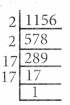Samacheer Kalvi 8th Maths Guide Chapter 1 எண்கள் Ex 1.4 7