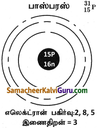 Samacheer Kalvi 9th Science Guide Chapter 11 அணு அமைப்பு 10