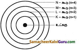 Samacheer Kalvi 9th Science Guide Chapter 11 அணு அமைப்பு 11