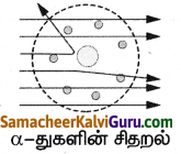 Samacheer Kalvi 9th Science Guide Chapter 11 அணு அமைப்பு 7