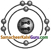 Samacheer Kalvi 9th Science Guide Chapter 11 அணு அமைப்பு 8