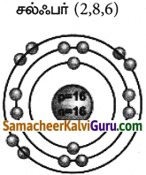 Samacheer Kalvi 9th Science Guide Chapter 11 அணு அமைப்பு 9