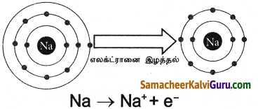 Samacheer Kalvi 9th Science Guide Chapter 13 வேதிப்பிணைப்பு 2