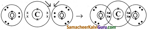 Samacheer Kalvi 9th Science Guide Chapter 13 வேதிப்பிணைப்பு 3