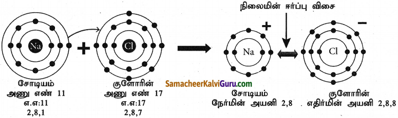 Samacheer Kalvi 9th Science Guide Chapter 13 வேதிப்பிணைப்பு 9