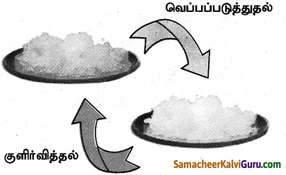 Samacheer Kalvi 9th Science Guide Chapter 14 அமிலங்கள், காரங்கள் மற்றும் உப்புகள் 1