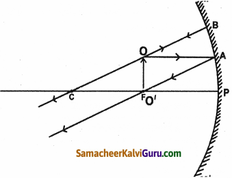 Samacheer Kalvi 9th Science Guide Chapter 6 ஒளி 12