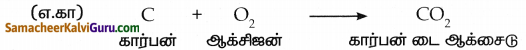 Samacheer Kalvi 8th Science Guide Chapter 11 காற்று 8
