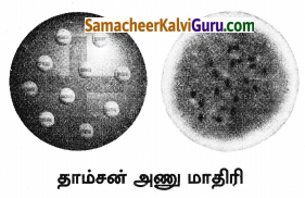 Samacheer Kalvi 8th Science Guide Chapter 12 அணு அமைப்பு 10
