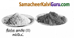 Samacheer Kalvi 8th Science Guide Chapter 13 நீர் 5