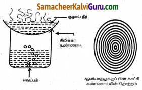 Samacheer Kalvi 8th Science Guide Chapter 13 நீர் 6