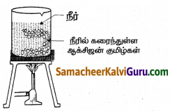 Samacheer Kalvi 8th Science Guide Chapter 13 நீர் 7