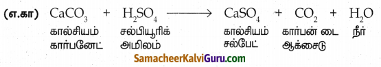 Samacheer Kalvi 8th Science Guide Chapter 14 அமிலங்கள் மற்றும் காரங்கள் 5