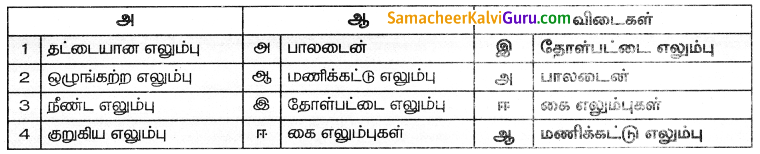 Samacheer Kalvi 8th Science Guide Chapter 19 விலங்குகளின் இயக்கம் 5
