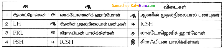 Samacheer Kalvi 8th Science Guide Chapter 20 வளரிளம் பருவமடைதல் 4