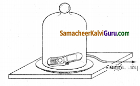 Samacheer Kalvi 8th Science Guide Chapter 6 ஒலியியல் 2