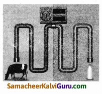 Samacheer Kalvi 9th Science Guide Chapter 21 ஊட்டச்சத்து மற்றும் ஆரோக்கியம் 86