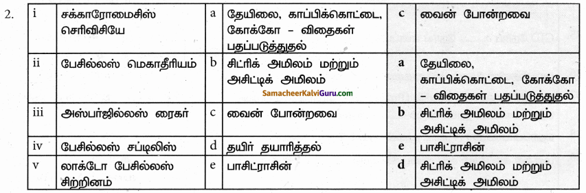 Samacheer Kalvi 9th Science Guide Chapter 22 நுண்ணுயிரிகளின் உலகம் 81