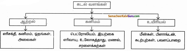 Samacheer Kalvi 9th Social Science Guide Geography Chapter 4 நீர்க்கோளம் 40