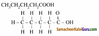 Samacheer Kalvi 10th Science Guide Chapter 11 கார்பனும் அதன் சேர்மங்களும் 98