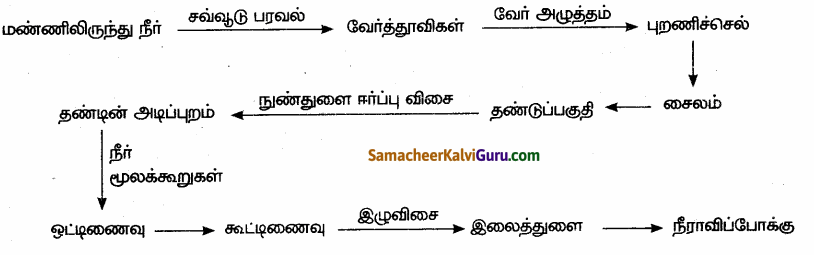 Samacheer Kalvi 10th Science Guide Chapter 14 தாவரங்களின் கடத்துதல் மற்றும் விலங்குகளின் சுற்றோட்டம் 60