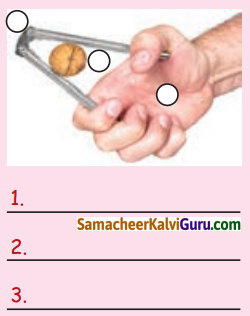 Samacheer Kalvi 4th Science Guide Term 1 Chapter 3 வேலை மற்றும் ஆற்றல் 20