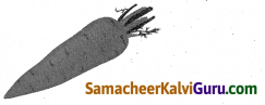Samacheer Kalvi 4th Science Guide Term 2 Chapter 1 உணவு 1