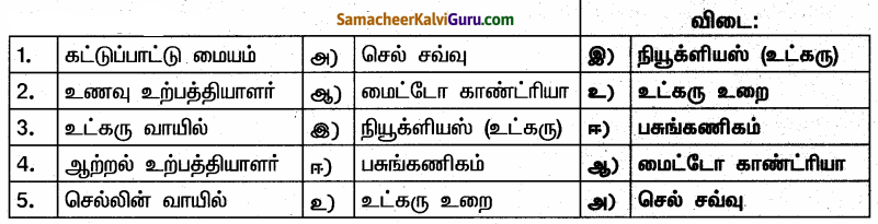 Samacheer Kalvi 6th Science Guide Term 2 Chapter 5 செல் 60