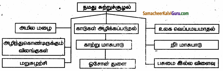 Samacheer Kalvi 6th Science Guide Term 3 Chapter 4 நமது சுற்றுச்சூழல் 98