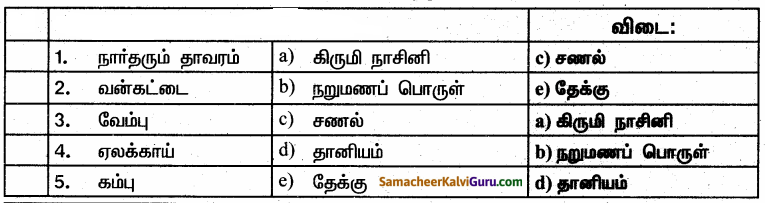 Samacheer Kalvi 6th Science Guide Term 3 Chapter 5 அன்றாட வாழ்வில் தாவரங்கள் 80