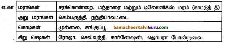 Samacheer Kalvi 6th Science Guide Term 3 Chapter 5 அன்றாட வாழ்வில் தாவரங்கள் 96