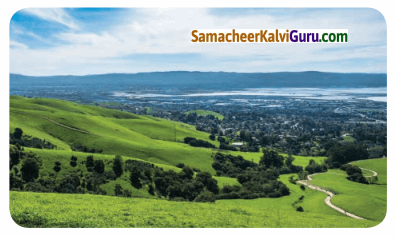 Samacheer Kalvi 6th Social Science Guide Term 1 Geography Chapter 2 நிலப்பரப்பும், பெருங்கடல்களும் 100