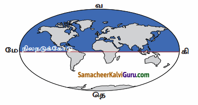Samacheer Kalvi 6th Social Science Guide Term 3 Geography Chapter 2 புவி மாதிரி 81