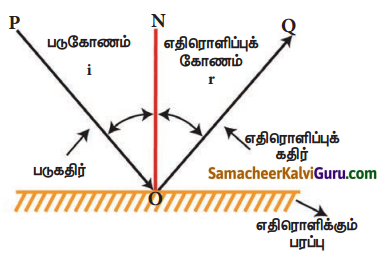 Samacheer Kalvi 7th Science Guide Term 3 Chapter 1 ஒளியியல் 3