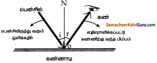 Samacheer Kalvi 7th Science Guide Term 3 Chapter 1 ஒளியியல் 7