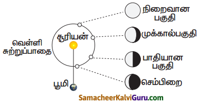 Samacheer Kalvi 7th Science Guide Term 3 Chapter 2 அண்டம் மற்றும் விண்வெளி 3