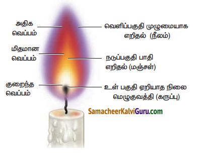 Samacheer Kalvi 7th Science Guide Term 3 Chapter 4 அன்றாட வாழ்வில் வேதியியல் 5